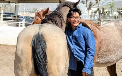 Terapia asistida con equinos